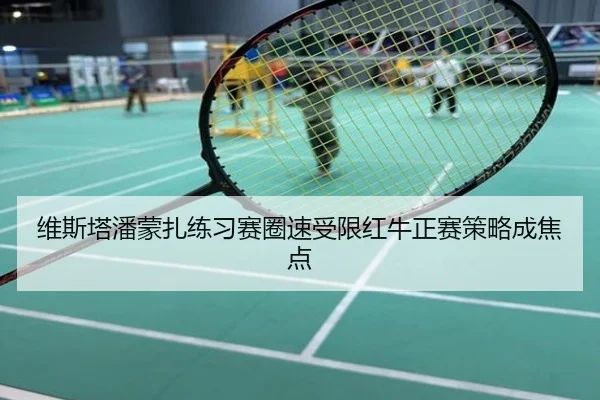 维斯塔潘蒙扎练习赛圈速受限红牛正赛策略成焦点